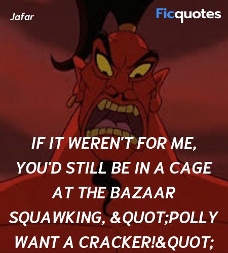If it weren't for me, you'd still be in a cage at the bazaar squawking,